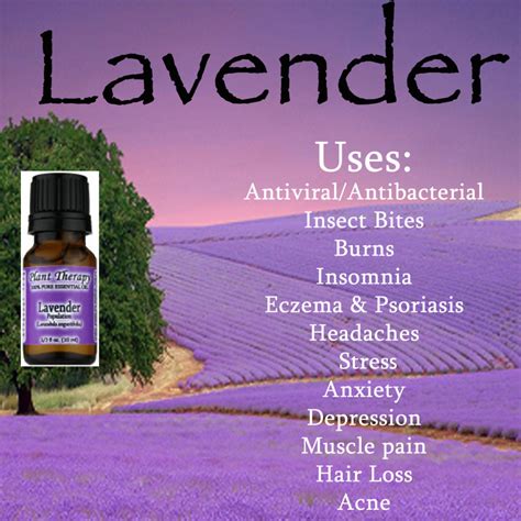 Lavender Essential Oil: How to Use It for Better Sleep